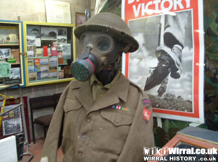 Attached picture soldier and gas mask resized.jpg